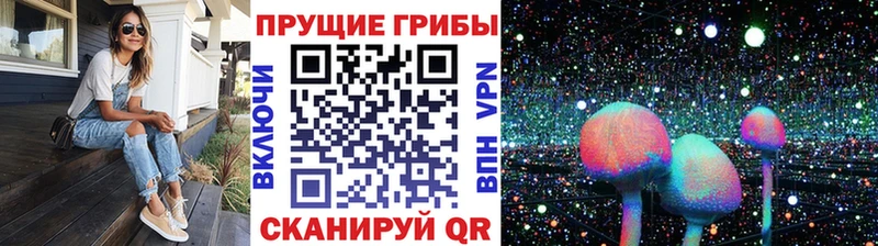 гидра рабочий сайт Новочебоксарск Галлюциногенные грибы Psilocybine cubensis