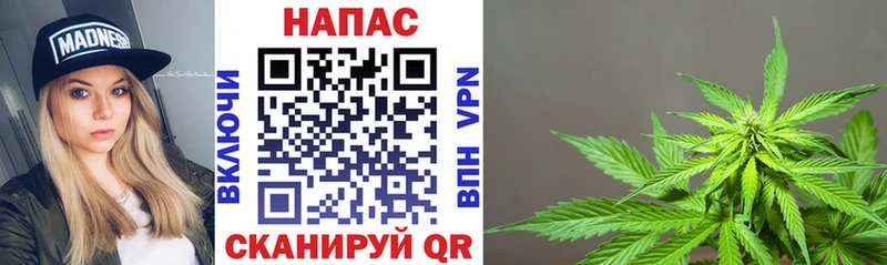 Марихуана Bruce Banner  Новочебоксарск 